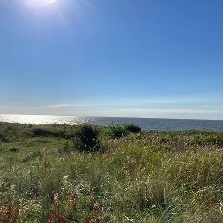 Bjalumvej 17, Nymindegab, 6830 Holiday home Norre Nebel